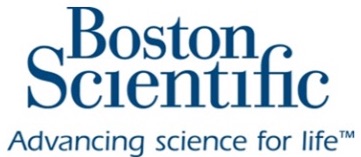 logo Boston